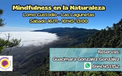 Sesión Grupal de Mindfulness al Aire Libre