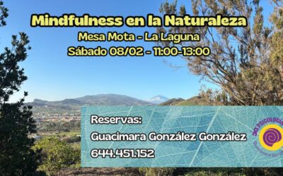 Retomamos las sesiones grupales de Mindfulness al aire libre