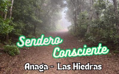 Sendero Consciente – Septiembre 2025